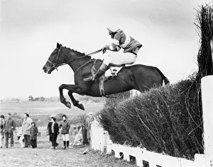 Point To Point Racing Imprime: Point to Point