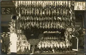 Esturión Imprime: Cazador de pollos - Pescadero