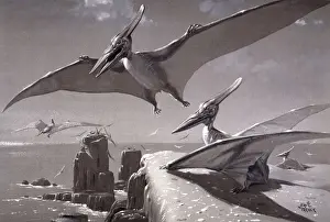 Dinosaurios Imprime: Pteranodon