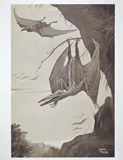 Cretaceous Period Animals Imprime: Pterodactyl