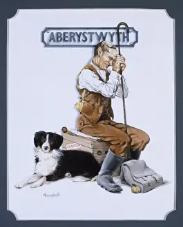 El Madero de Ferrocarril - Estación de Aberystwyth