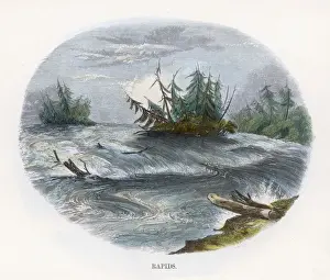 North America Water Features Imprime: Rapids (Whimper)