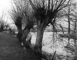 English River Landscapes Imprime: River Confluence