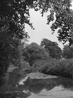 Rural England 1930s Imprime: The River Mole