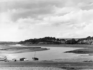 Nutria Marina Imprime: El Río Lobo Marino