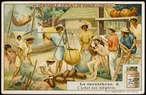 Caucho : Comerciantes