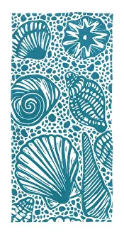 Marine Life Prints Imprime: A selection of seashells