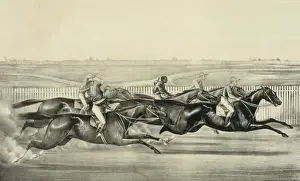 American Horse Racing Imprime: A sharp pace from start to finish