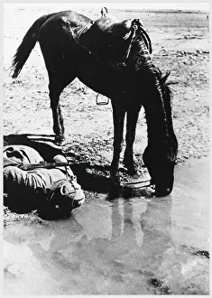 Eastern Front History Imprime: Soviet Cavalryman