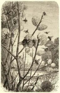 Primavera Imprime: Abejas en primavera