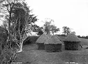 Early 1900s Rural Scene Imprime: Stack Garden