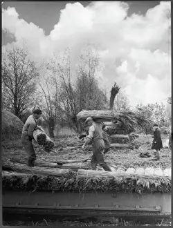 Cambridgeshire Landscape Photography Imprime: Stacking Reed for Thatch