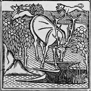Historical Prints Online Imprime: The stag & the pool