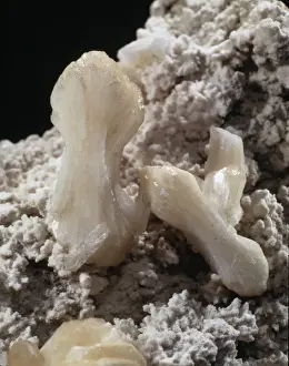 Natural History Museum Specimens Imprime: Stilbite