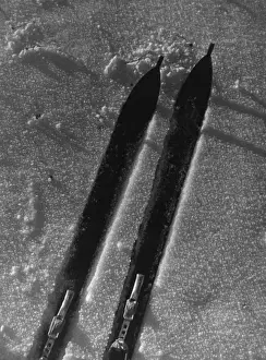 Skiing In The Snow Imprime: Study of Skis