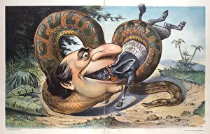 Puck Magazine Art Imprime: Swallowed