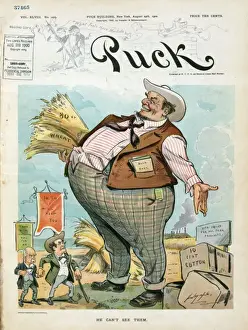William Jennings Bryan Cartoon Imprime: He can t see them