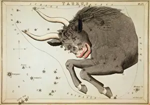 Cartas Astrales Imprime: Taurus