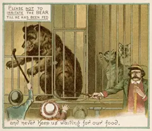 Animal Behavior Study Imprime: Teasing the Bear