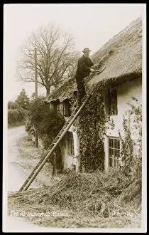Traditional Roofing Techniques Imprime: Thatching at Porlock