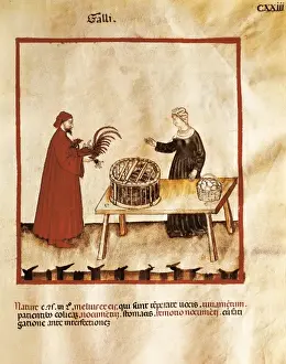 Tacuinum Sanitatis Imprime: Theatrum sanitatis (Codex 4182). Tacuinum Sanitatis