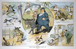 William Jennings Bryan Cartoon Imprime: Some things Mr. Bryan might do