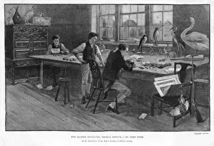 Thomas Bewick Imprime: Trabajando Thomas Bewick
