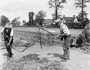 Britain Farming History Imprime: Threshing with Flails