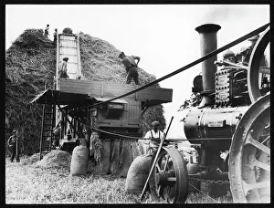 Henley On Thames Imprime: Threshing Wheat