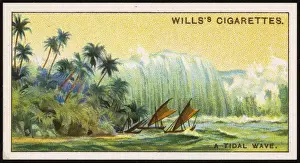 Natural Disaster Images Imprime: TIDAL WAVE, 1908