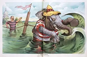 Republican Elephant Cartoon Imprime: A timely warning
