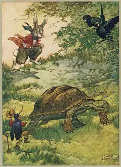 Liebre Imprime: Tortuga y Liebre (Fol).