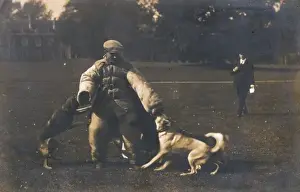 Police Dog Training Imprime: Training Dog to Attack