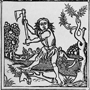 Historical Literature Imprime: The trees & the axe