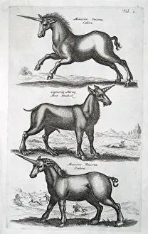 Bestias Míticas Imprime: Tres unicornios