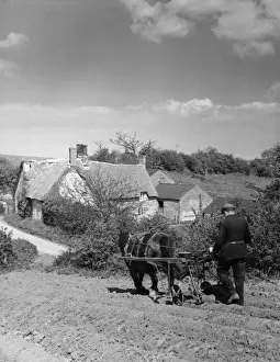 Farming In The 1960s Imprime: Using a Seed Drill