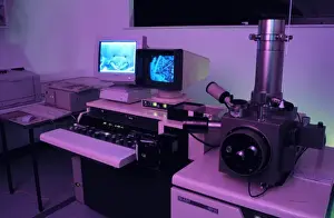 Scanning Electron Microscope Image Imprime: Variable pressure scanning electron microscope
