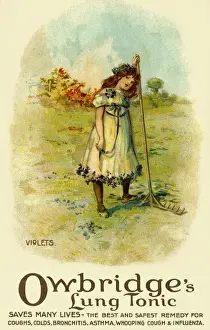 Early 20th Century Advertising Posters Imprime: Violets