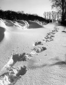 Escena Invernal Imprime: Huellas en la Nieve.