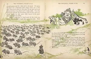 Poppy Field Imprime: Wizard of Oz / Field-Mice