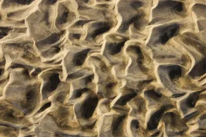 Arid Desert Scenery Photos Imprime: Namibia - Structural forms in the sand of a dry riverbed