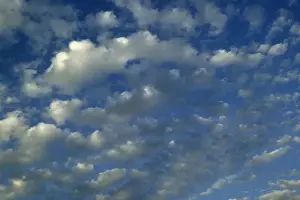 Cirrocumulus Cloud Formation Imprime: Clouds - cirrocumulus