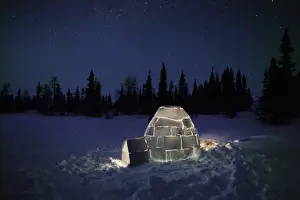 M Watson Wildlife Photographer Imprime: Igloo - at night