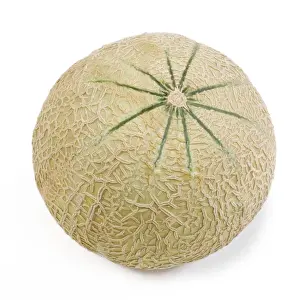 White Background Fruit Images Imprime: Melon - in studio