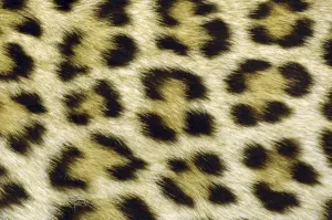Patrones Imprime: Manchas de león