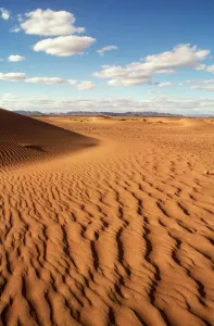 Moroccan Landscape Photography Imprime: MOROCCO - DUNES