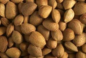 Edible Nuts Imprime: Almonds