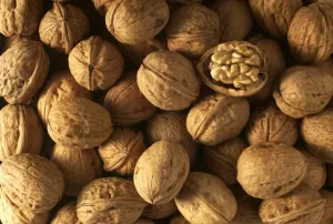 Jean Michel Labat Prints Imprime: Walnuts