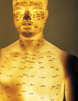 Impresiones de Modelo de acupuntura: Modelo iluminado del cuerpo humano marcado con puntos de acupuntura (puntos etiquetados) y meridianos (líneas coloreadas) Imágenes de mayo de 2003: Modelo de acupuntura