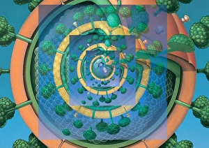 Virus del SIDA
